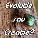 Merită văzut